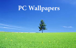 ! Wall Papers !